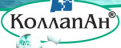 Коллапан